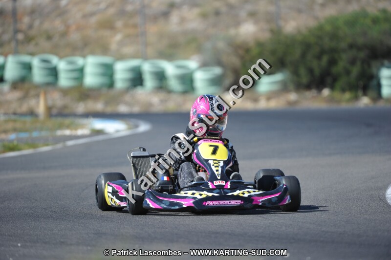 DSC (982).JPG